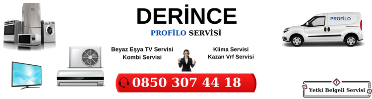 Derince Profilo Servisi